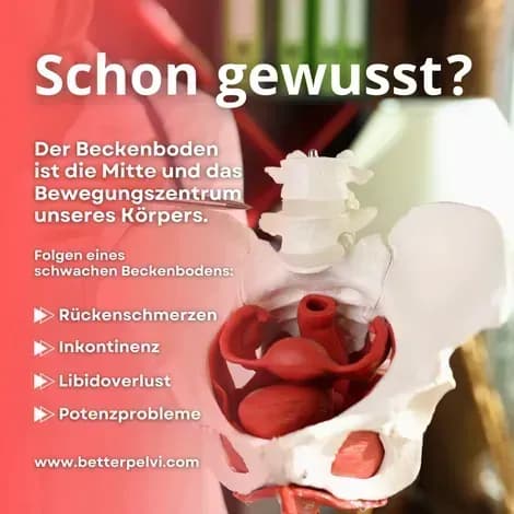 Beckenbodentraining in Linz – Muskeln stärken & Beschwerden lindern