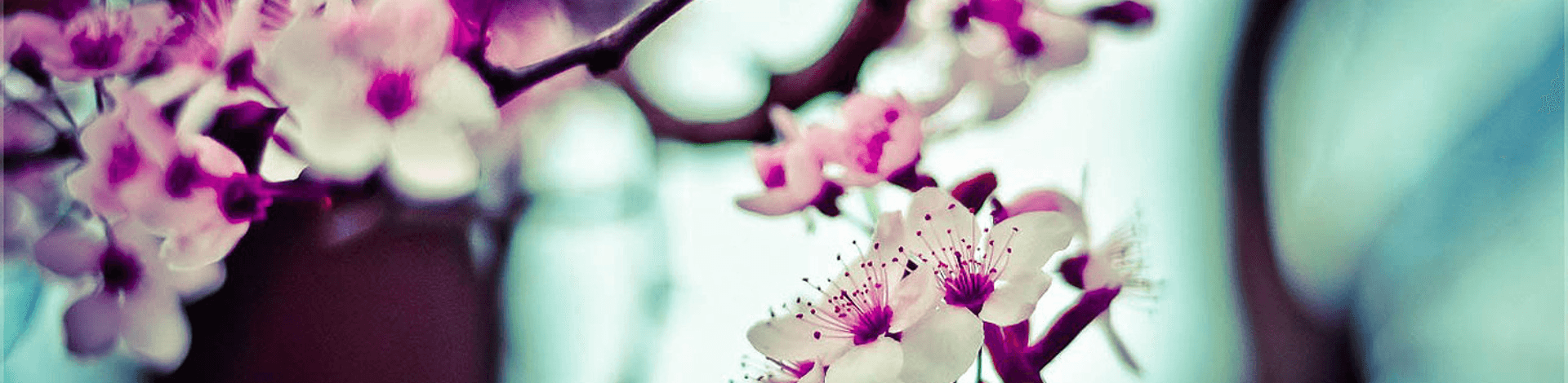 Beautiful Moments